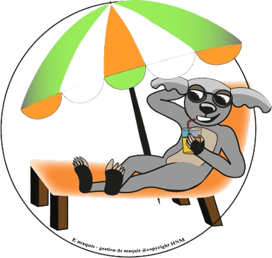Mascotte E-Maquis